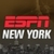 ESPNNewYork.com icon