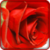 Beautiful Flowers live 3d wallpapers app for free
