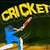 Cricket Games Online icon