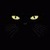 Black Cat Lick Live Wallpaper icon