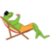 Frog Traveler icon