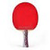 Ping Pong Babez icon