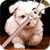 Puppy Zipper Lock Screen icon
