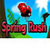 Spring Rush icon