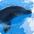 Dolphins : Ocean Wild Animals icon