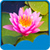 New Lotus Live Wallpapers icon