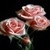 Blooming Pink Roses Live Wallpaper icon