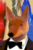 FoxBG icon