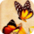 Colorful Butterflies Live Wallpaper icon