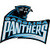 Carolina Panthers Fan icon