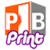 PartyBox Print icon