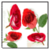 Flowers Of Valentines Day icon