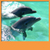 Dolphins Live Wallpapers New icon