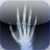 Skeletal Anatomy 3D - Quiz and Reference icon