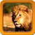 Lion Live Wallpapers Best icon