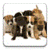 Cute Puppy Pictures icon