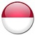 INDO BROWSER icon