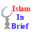 Islam In Brief icon