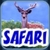 BabyFirst's Safari Defteri icon
