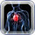 Heart Murmurs Information icon