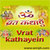 Vrat Kathayein Lite icon