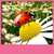 Ladybug Live Wallpapers Best icon
