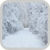 Snow Wallpaper HD icon
