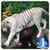 3D Bengal Tiger Live Wallpapers icon