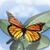 Kids can read  Buffy the Butterfly icon