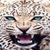 Leopard Roaring Live Wallpaper icon