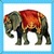 Kids Elephant icon