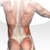 Back Pain Relief from CORE Physical Therapy icon