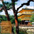 Japanese Zen Garden LWP icon