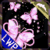 Butterfly Pink Shiny Glitter  A real coloured imag icon