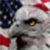 American Eagle Screams icon