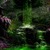 Green Waterfall Live Wallpaper icon