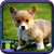 Dog Photo icon