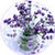Lavender Wallpaper HD background icon