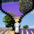Lavender Zipper Lock Screen icon