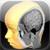Brain Tutor 3D icon