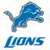Lions Fans icon