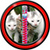 Zipper Locker - Cute Kittens app for free