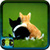 Pictures Of Kittens And Cats icon