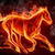 Horse Fire Live Wallpaper icon