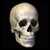 Skull 3D Free icon