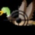   Shoot The Duck Game free icon