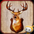 Deer Hunter Challenge icon