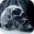 Skull Live Wallpaper 3D Parallax icon