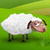 Funny Sheeps Live Wallpaper icon