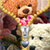 Teddy Bear Zipper Lock Screen Free icon